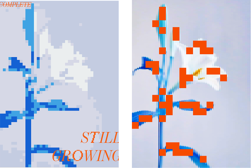Diptyque Still Growing : deux états graphiques d'une fleur côte à côte, blocs bleus pixelisés et texture abstraite à gauche, fleur blanche avec carrés oranges à droite, explorrant le processus de création